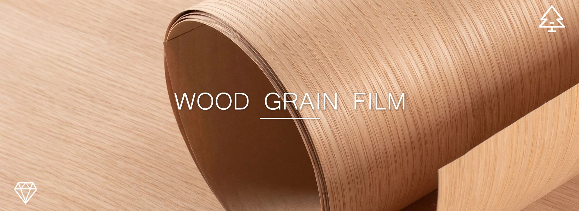 বেনাৰ০৬